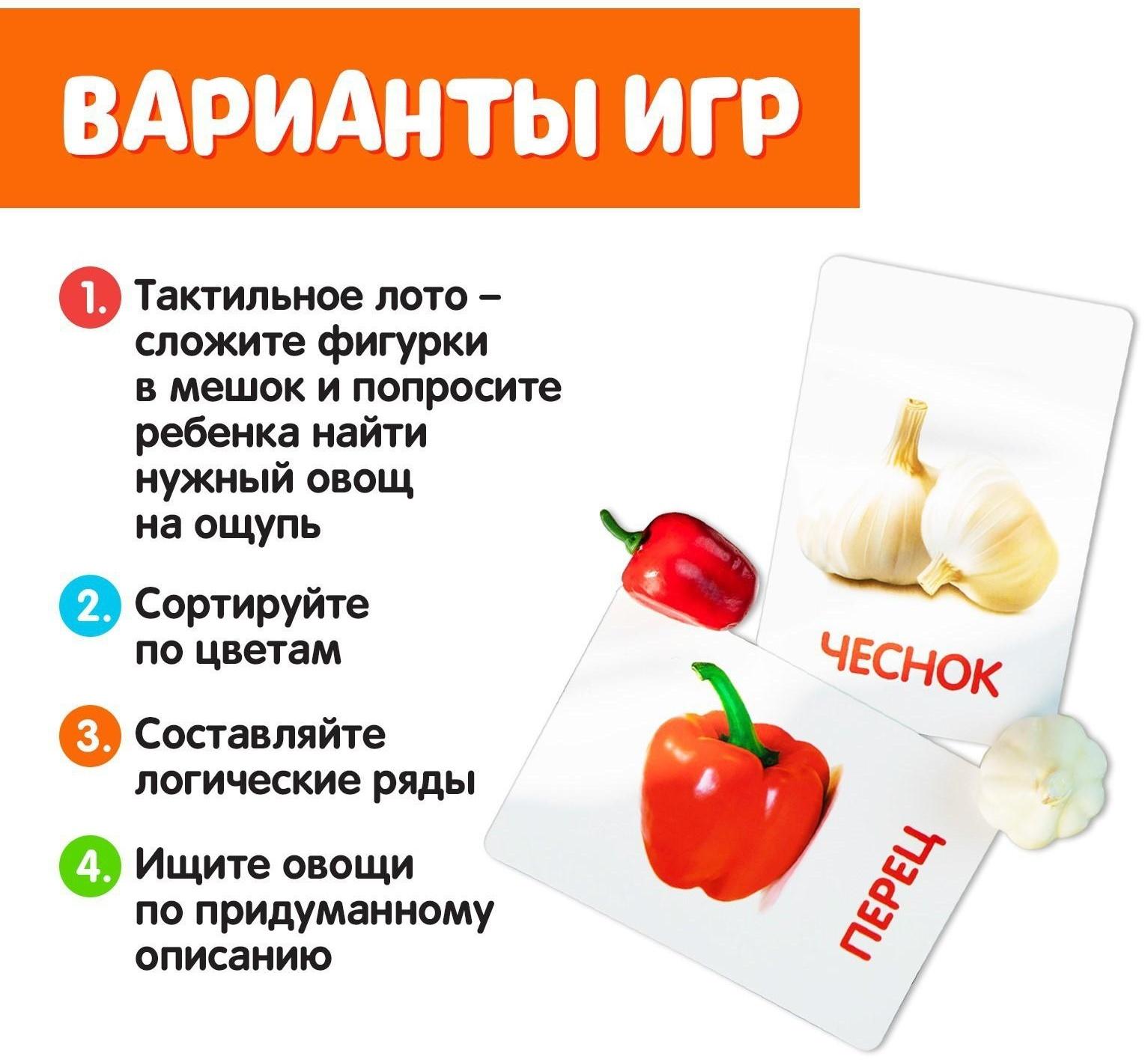 Обучающий набор по методике Г. Домана «Овощи»: 9 карточек + 9 овощей, счётный материал