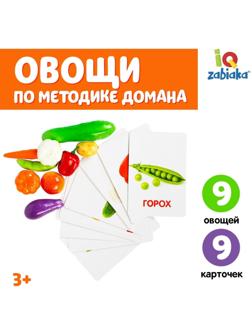 Обучающий набор по методике Г. Домана «Овощи»: 9 карточек + 9 овощей, счётный материал