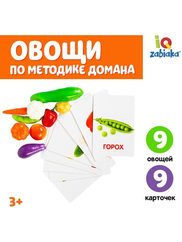Обучающий набор по методике Г. Домана «Овощи»: 9 карточек + 9 овощей, счётный материал