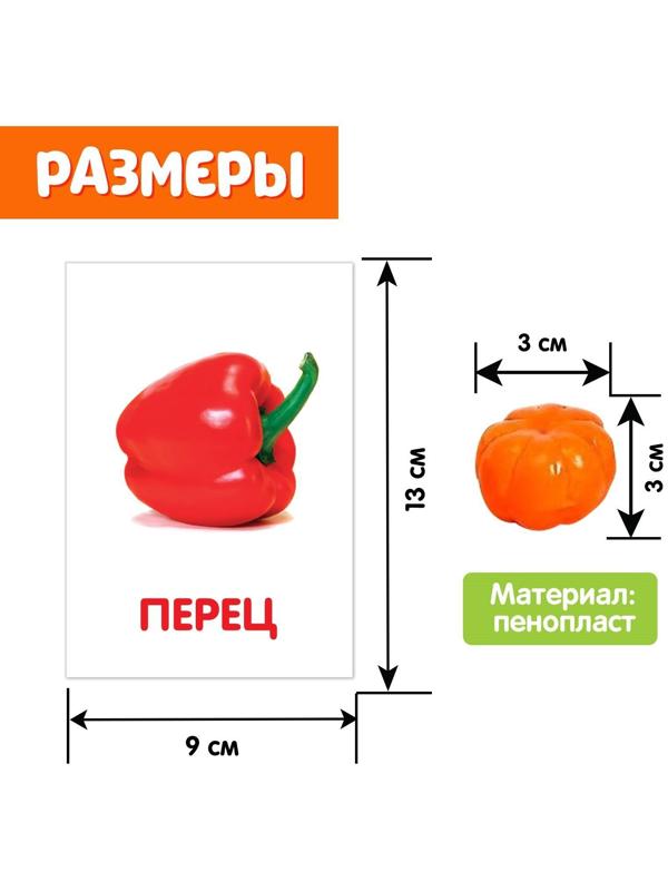 Обучающий набор по методике Г. Домана «Овощи»: 9 карточек + 9 овощей, счётный материал