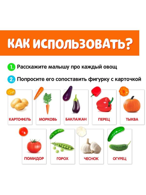 Обучающий набор по методике Г. Домана «Овощи»: 9 карточек + 9 овощей, счётный материал