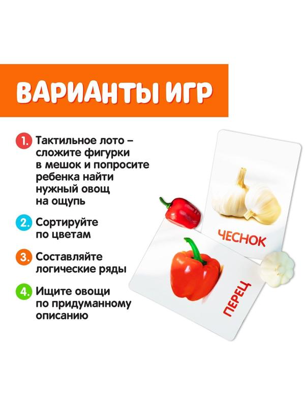 Обучающий набор по методике Г. Домана «Овощи»: 9 карточек + 9 овощей, счётный материал