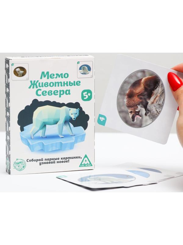 Настольная игра «Мемо. Животные Севера», 50 карточек