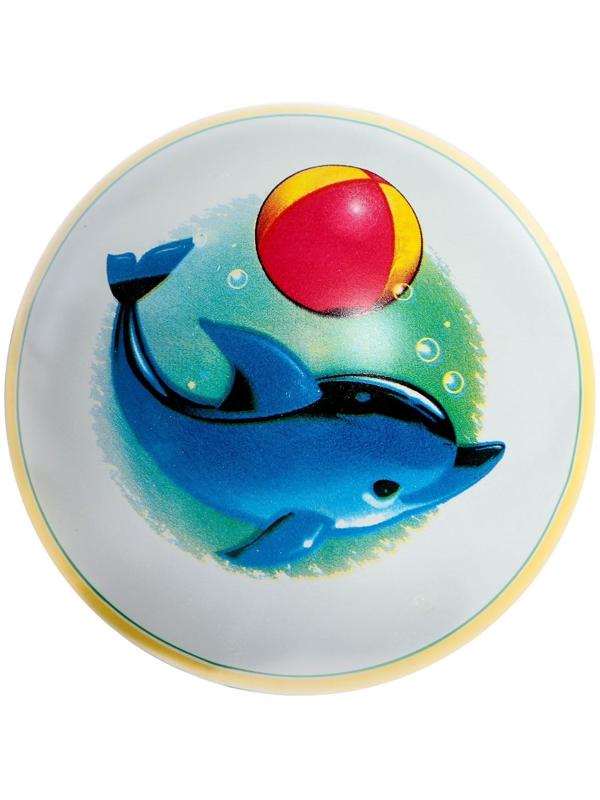 Мяч, диаметр 15 см, цвета МИКС