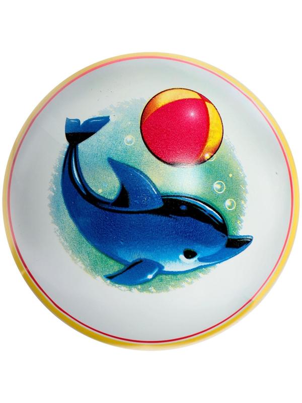 Мяч, диаметр 15 см, цвета МИКС