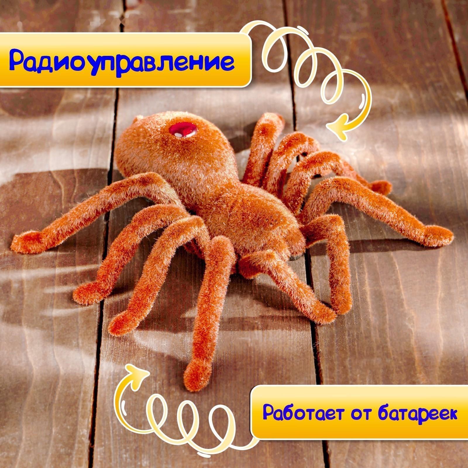 Паук радиоуправляемый «Тарантул», работает от батареек, световые эффекты