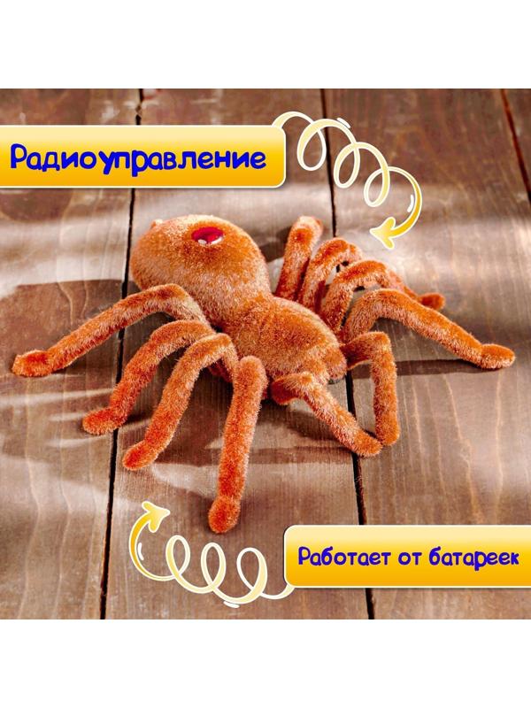 Паук радиоуправляемый «Тарантул», работает от батареек, световые эффекты