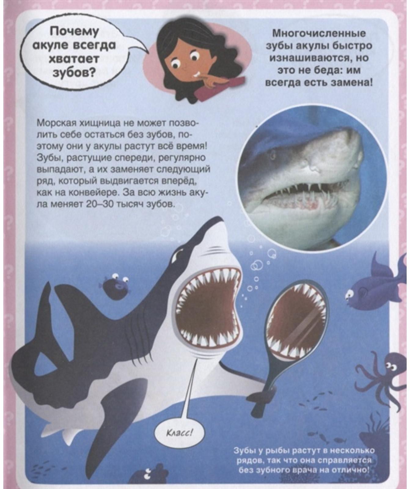 Твоя первая энциклопедия «Почему? 100 вопросов и ответов в картинках»