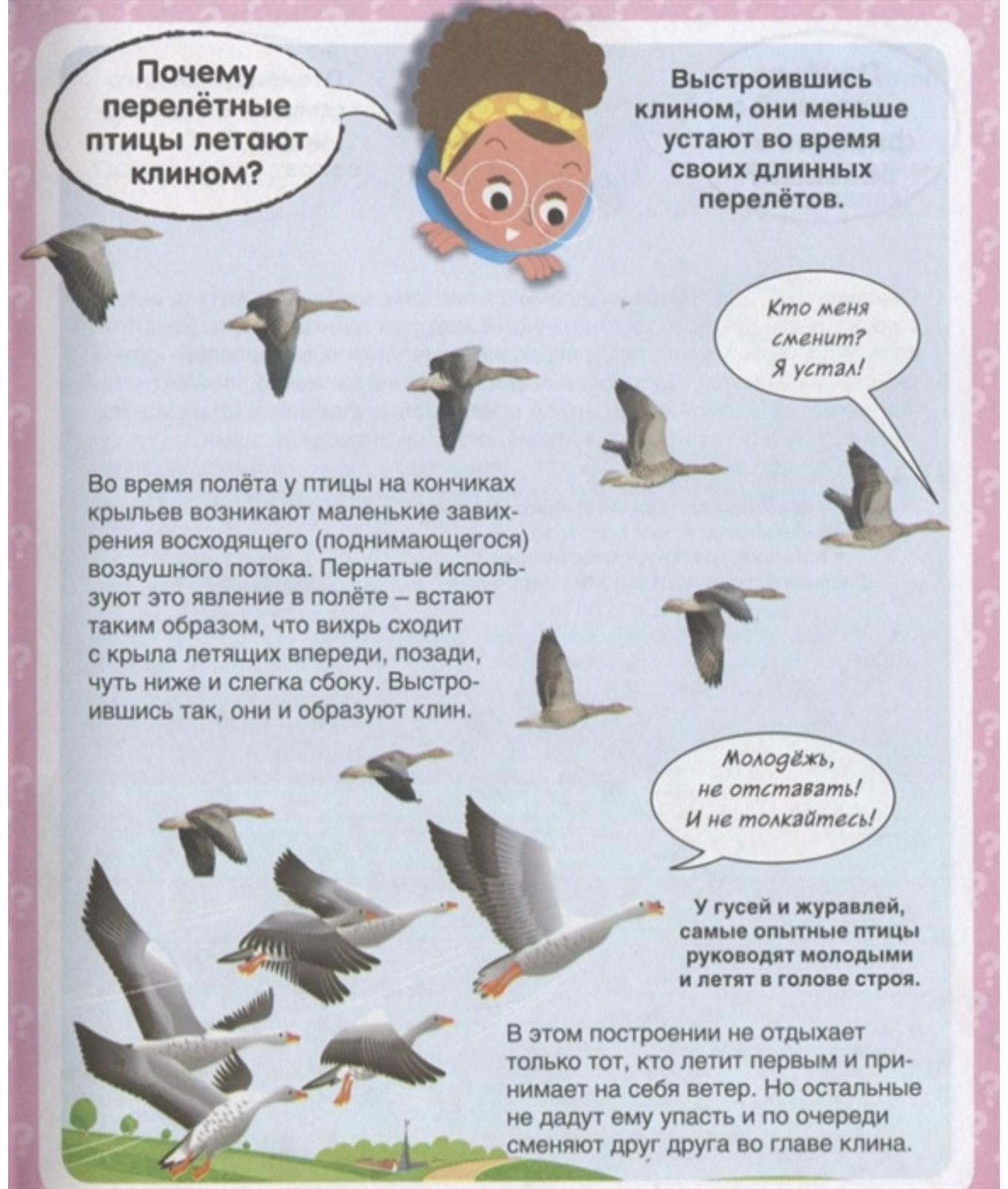 Твоя первая энциклопедия «Почему? 100 вопросов и ответов в картинках»