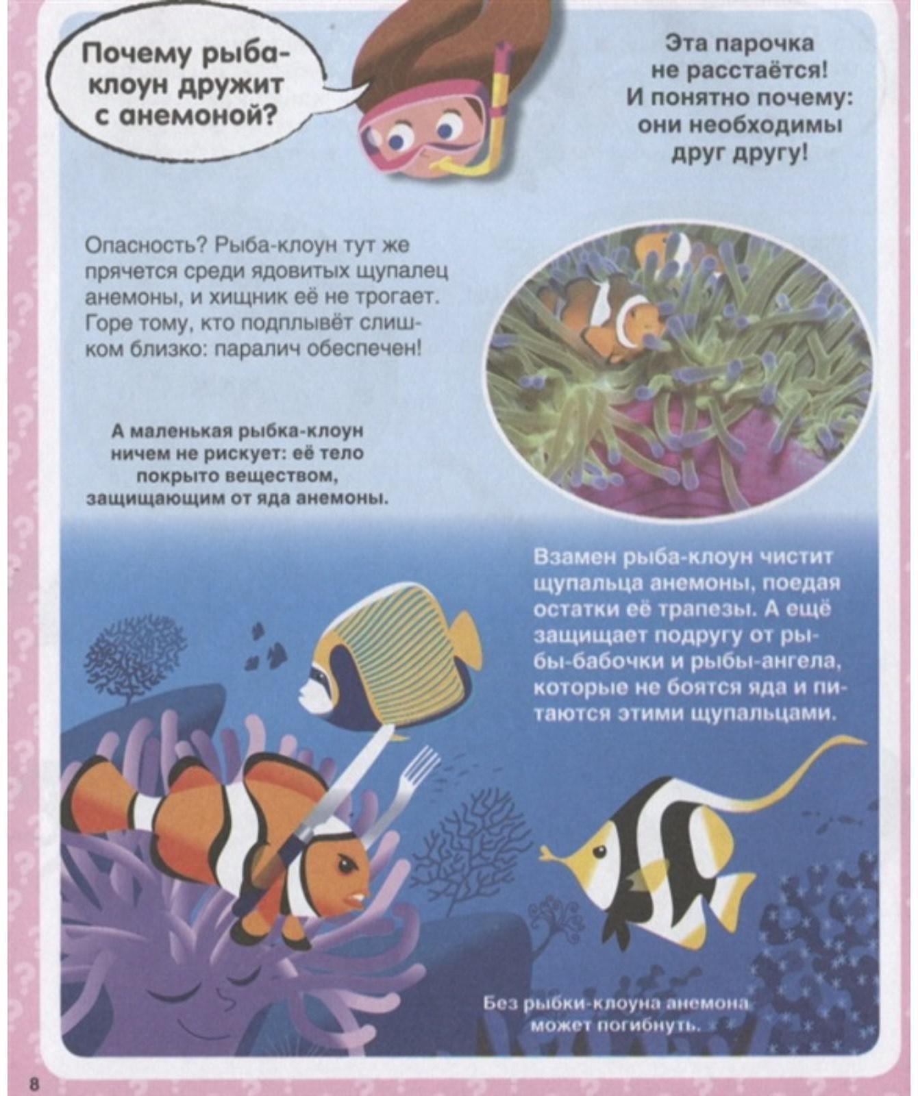 Твоя первая энциклопедия «Почему? 100 вопросов и ответов в картинках»