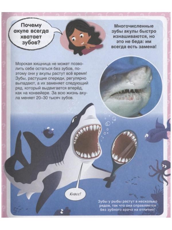 Твоя первая энциклопедия «Почему? 100 вопросов и ответов в картинках»