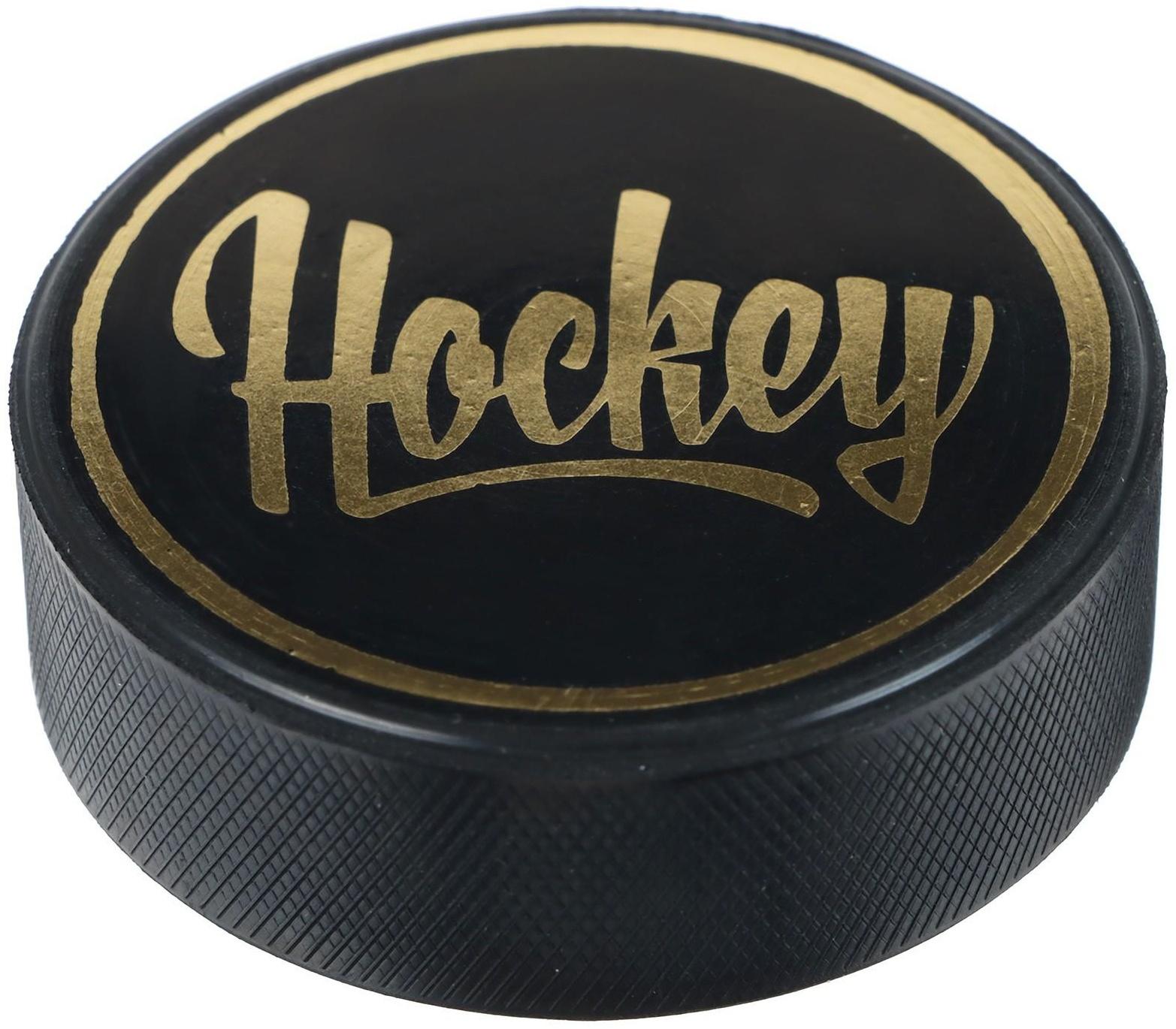 Шайба хоккейная детская «Хоккей», d=6 см, h=2 см, 86 г