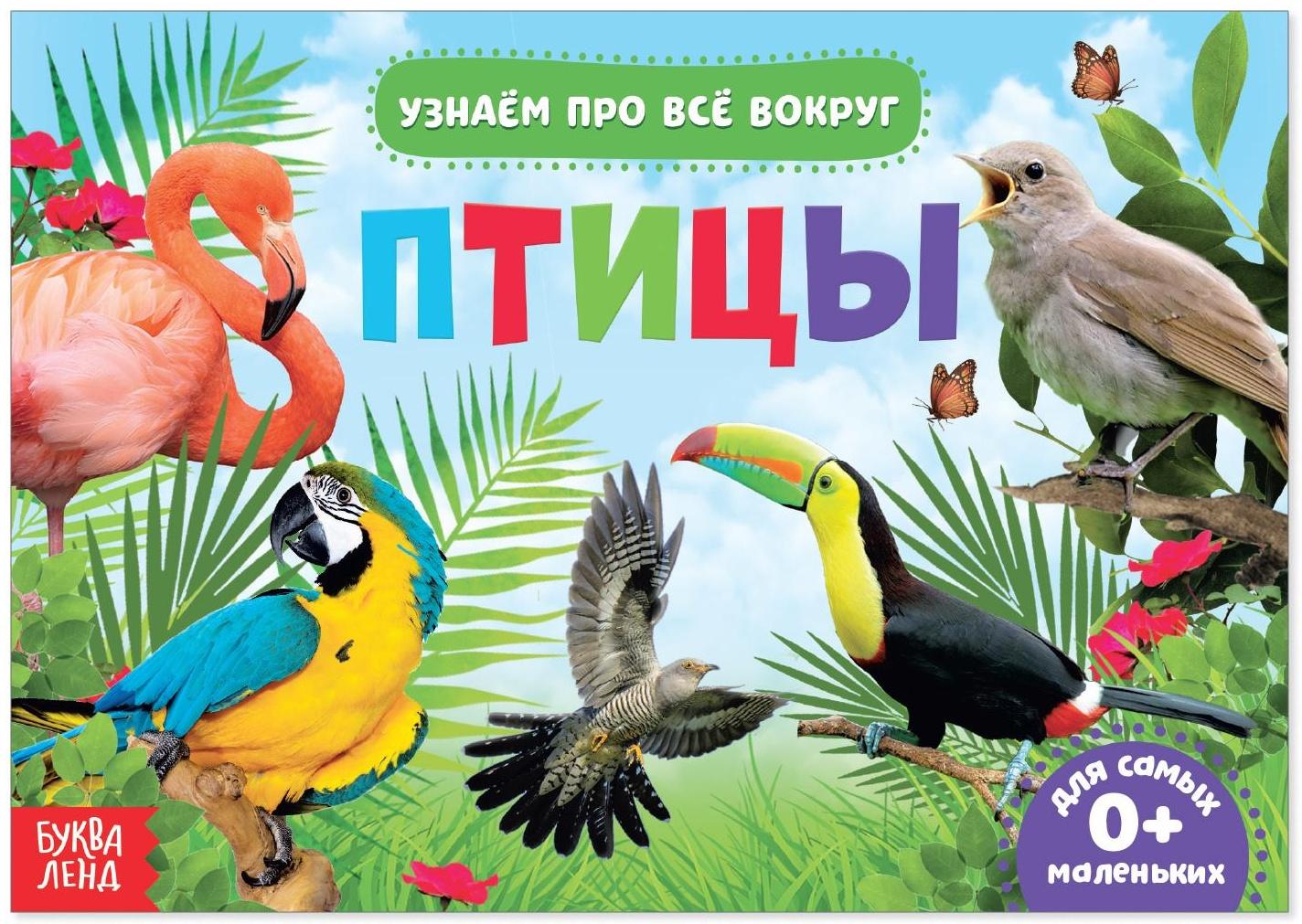 Обучающая книжка «Птицы», 18 птиц