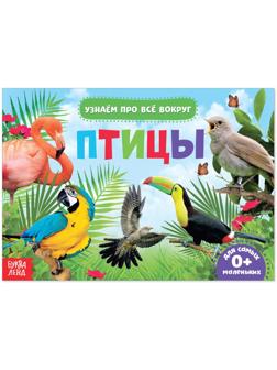 Обучающая книжка «Птицы», 18 птиц