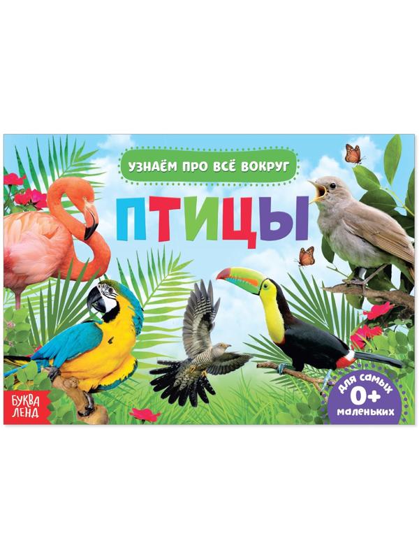 Обучающая книжка «Птицы», 18 птиц