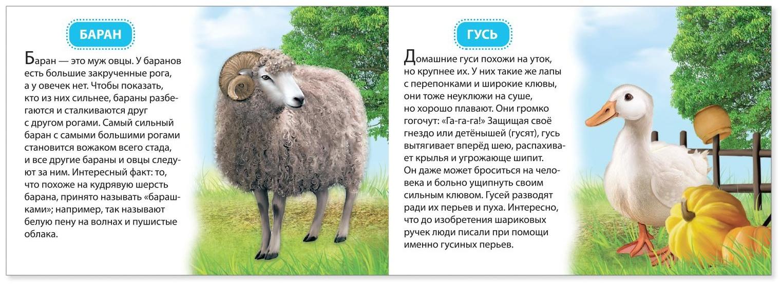 Обучающая книжка «Домашние животные», 18 животных