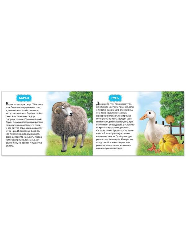Обучающая книжка «Домашние животные», 18 животных