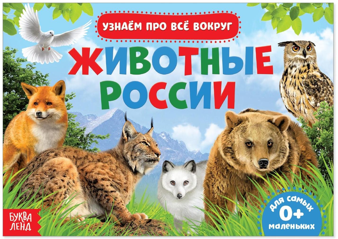 Обучающая книжка «Животные России», 18 животных