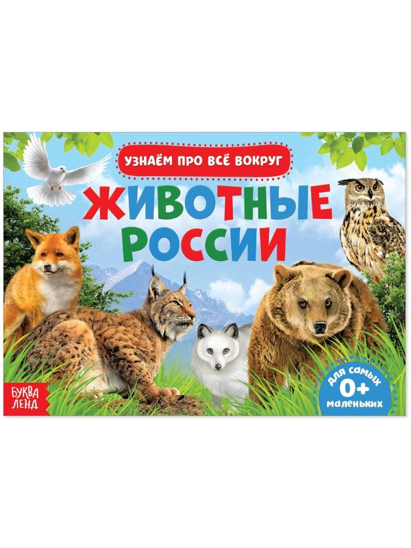 Обучающая книжка «Животные России», 18 животных