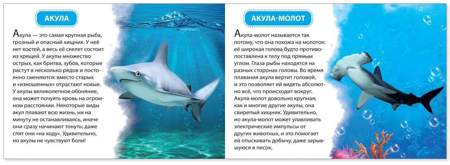 Обучающие книжки набор 6 шт. «Узнаём про всё вокруг», 108 животных и птиц