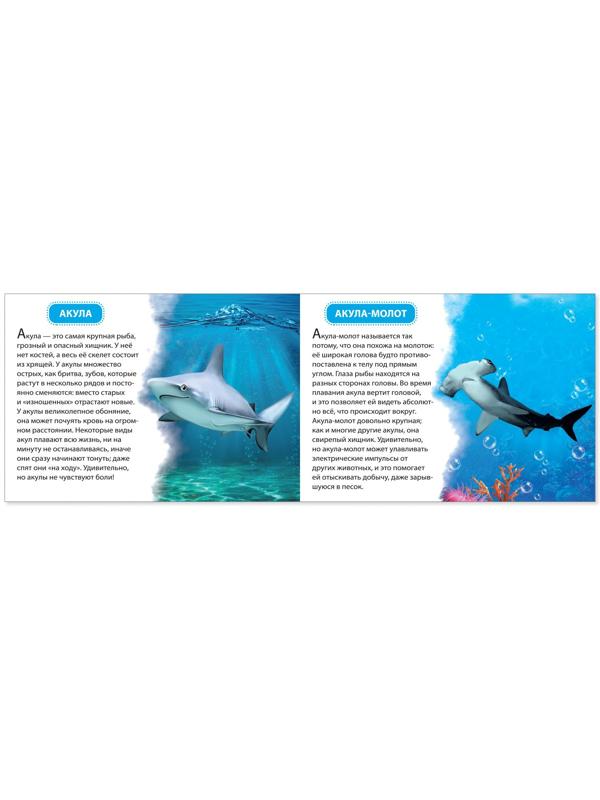 Обучающие книжки набор 6 шт. «Узнаём про всё вокруг», 108 животных и птиц