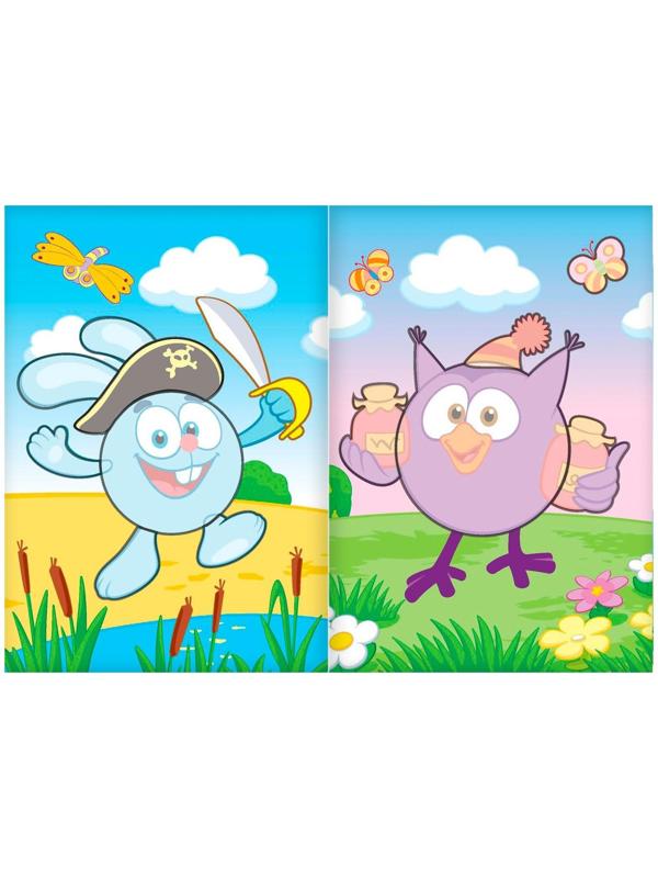 Книга с аппликациями, «Смешарики», 20 стр.