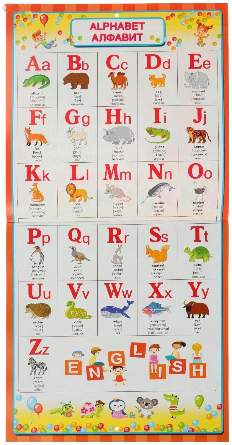 Все обучающие плакаты под одной обложкой «Английский для малышей», Дмитриева В. Г.