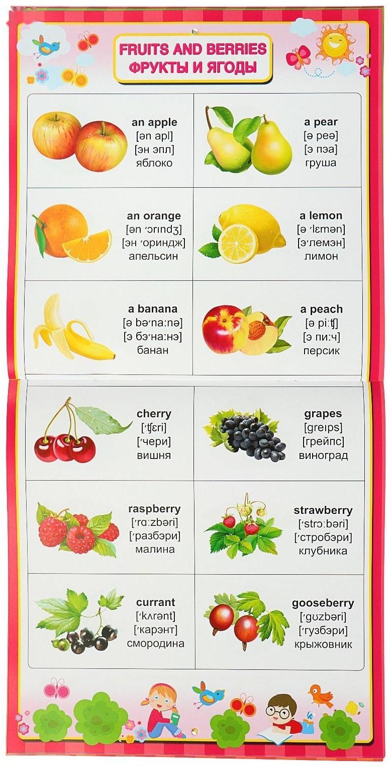Все обучающие плакаты под одной обложкой «Английский для малышей», Дмитриева В. Г.