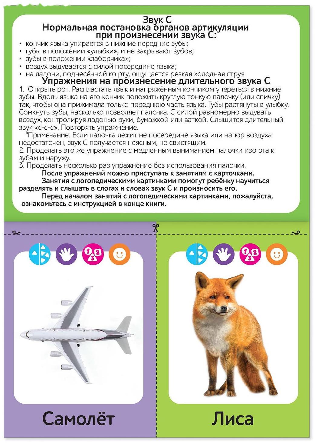 Обучающая книга «Логопедические картинки. Звук С», 24 стр.