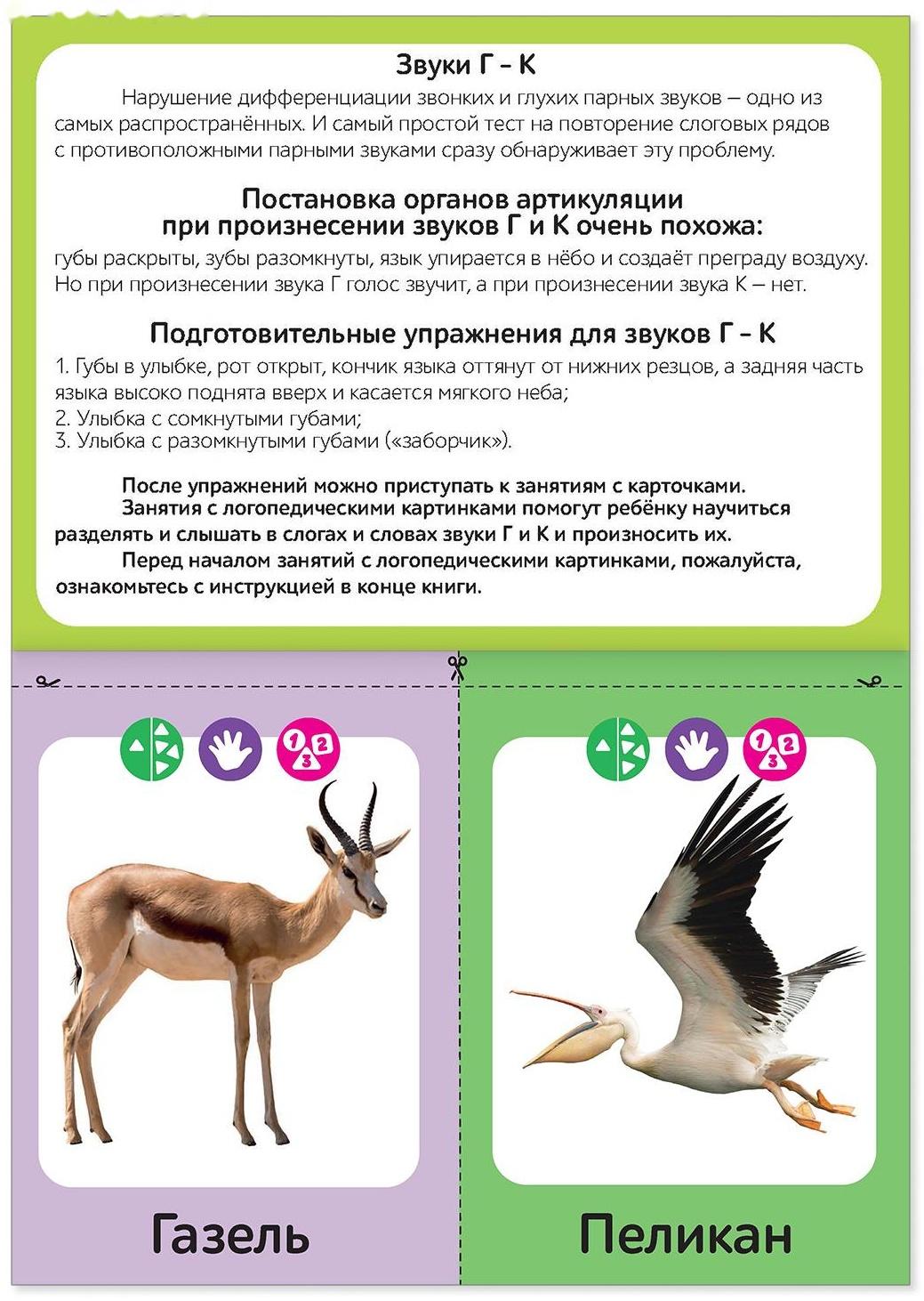Обучающая книга «Логопедические картинки. Звук Г‒К», 24 стр.