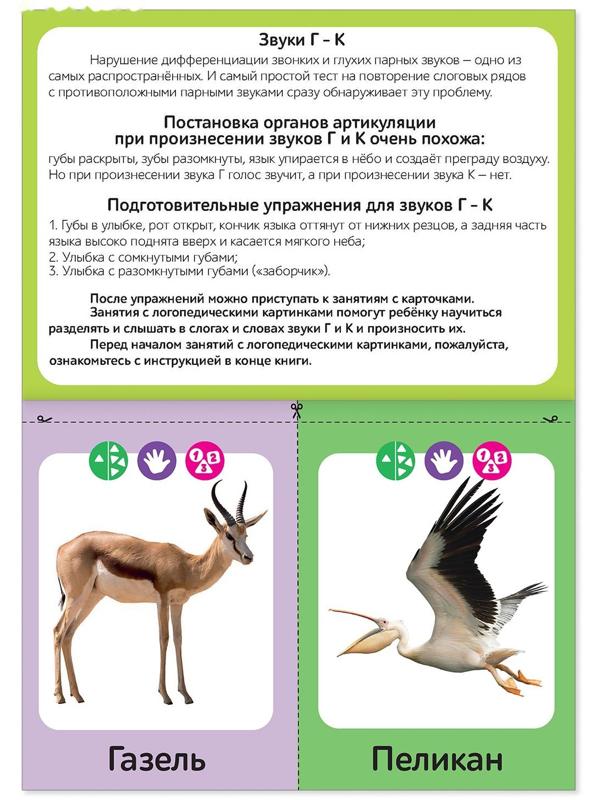 Обучающая книга «Логопедические картинки. Звук Г‒К», 24 стр.