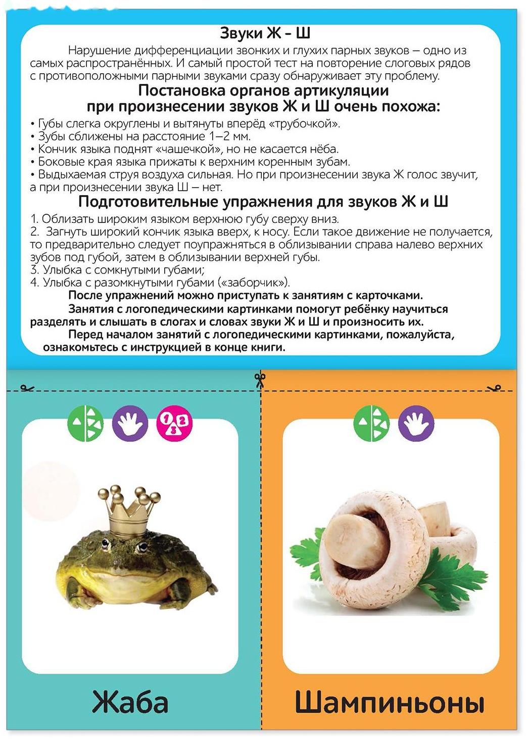 Обучающая книга «Логопедические картинки. Звук Ж‒Ш», 24 стр.