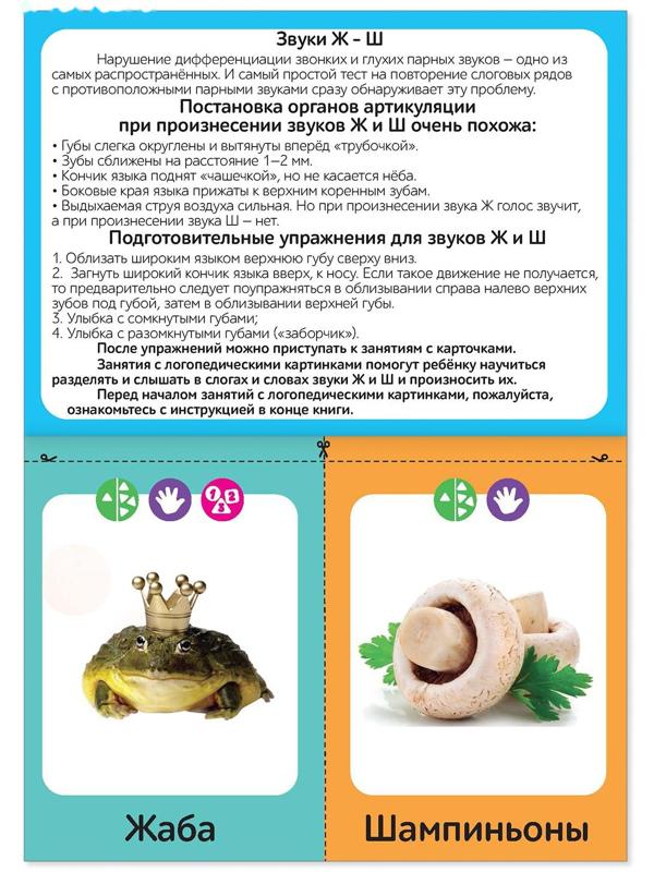 Обучающая книга «Логопедические картинки. Звук Ж‒Ш», 24 стр.