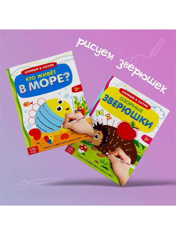 Набор многоразовых книг с маркером «Напиши и сотри. Развиваем мелкую моторику», 2 шт. по 12 стр.