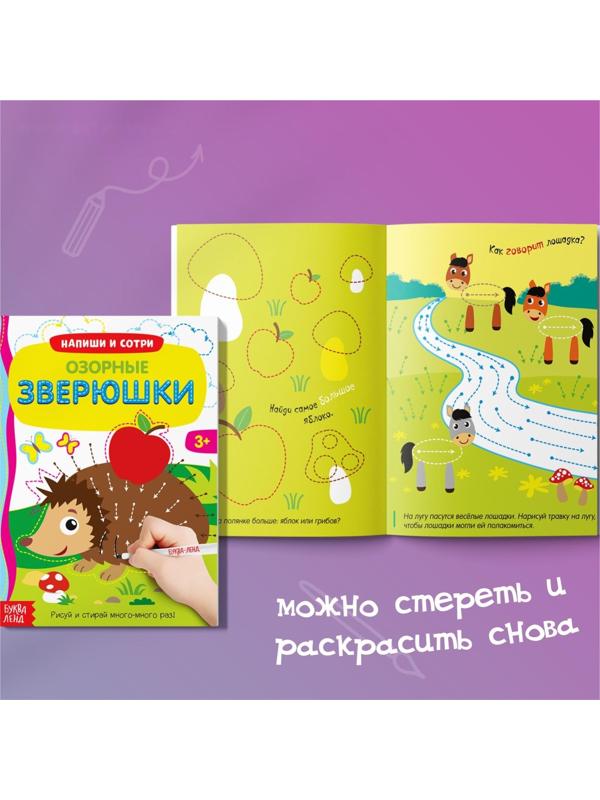 Набор многоразовых книг с маркером «Напиши и сотри. Развиваем мелкую моторику», 2 шт. по 12 стр.