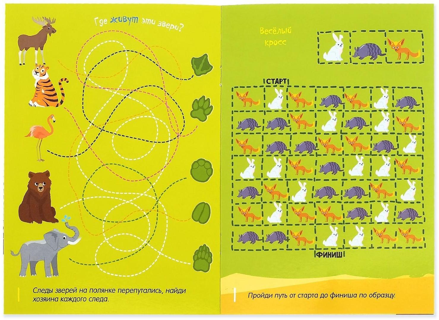 Набор многоразовых книг с маркером «Напиши и сотри. Лабиринты и путаницы», 2 шт. по 12 стр.