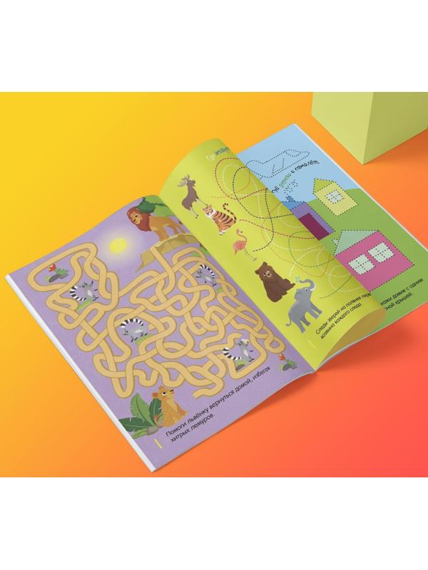 Набор многоразовых книг с маркером «Напиши и сотри. Лабиринты и путаницы», 2 шт. по 12 стр.