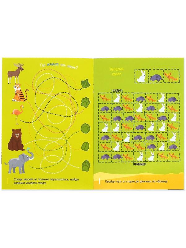 Набор многоразовых книг с маркером «Напиши и сотри. Лабиринты и путаницы», 2 шт. по 12 стр.