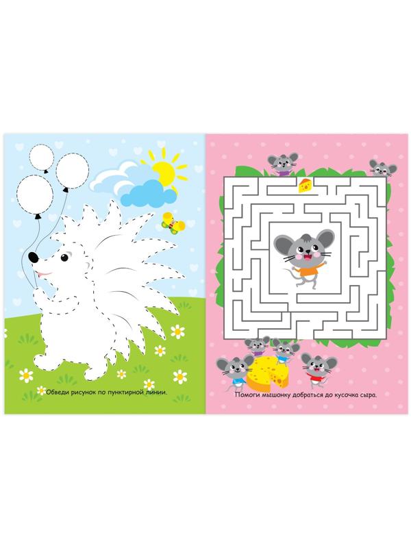 Книжка с маркером «Пиши-стирай. Весёлые задания», 12 стр.