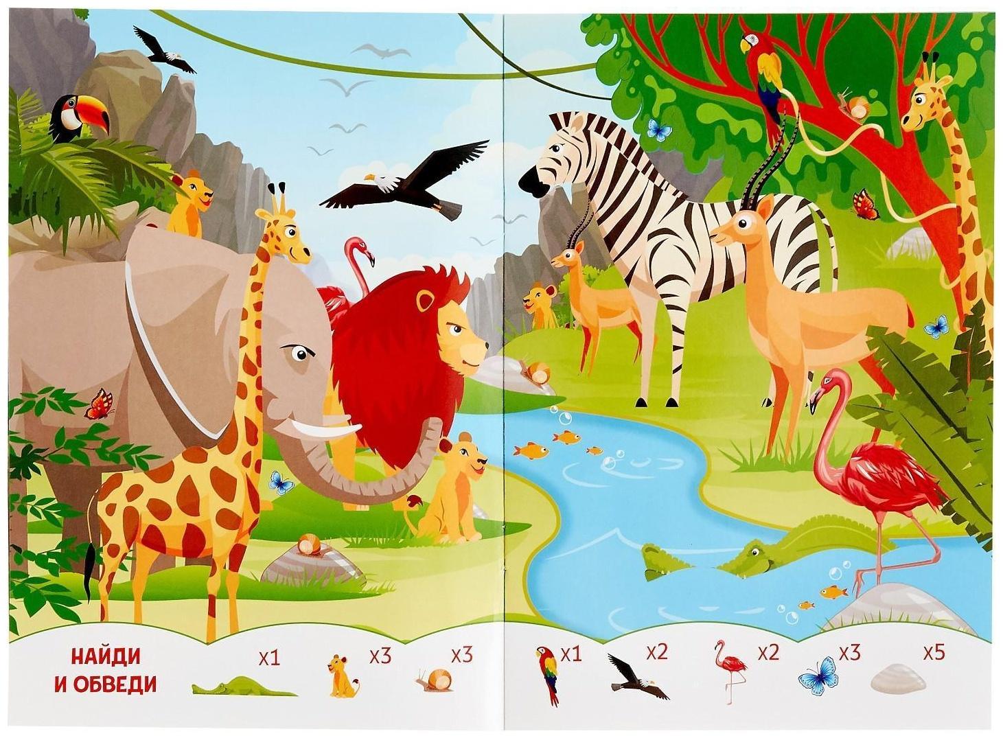 Книжка с маркером «Пиши-стирай. Найди и покажи», 12 стр.