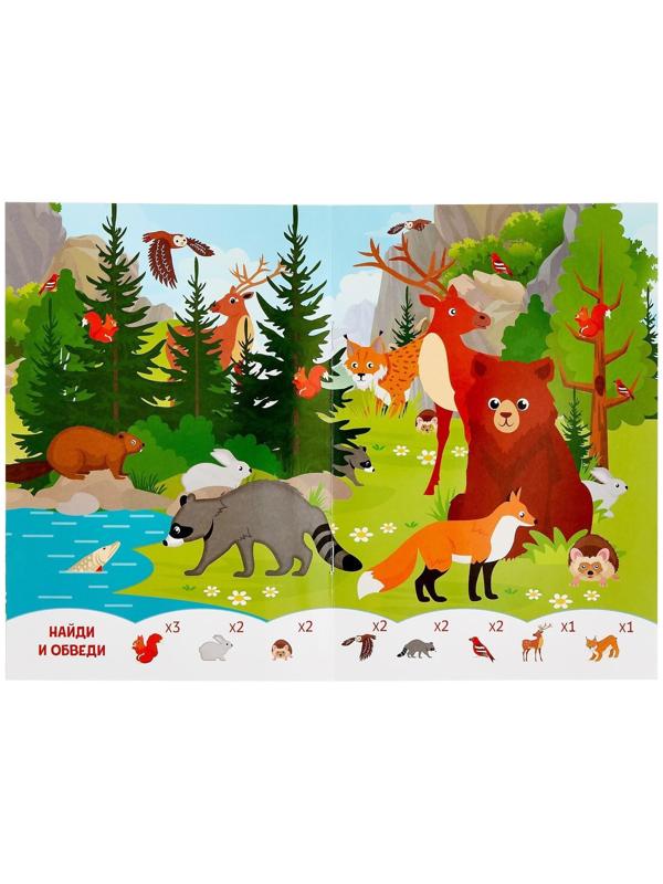 Книжка с маркером «Пиши-стирай. Найди и покажи», 12 стр.