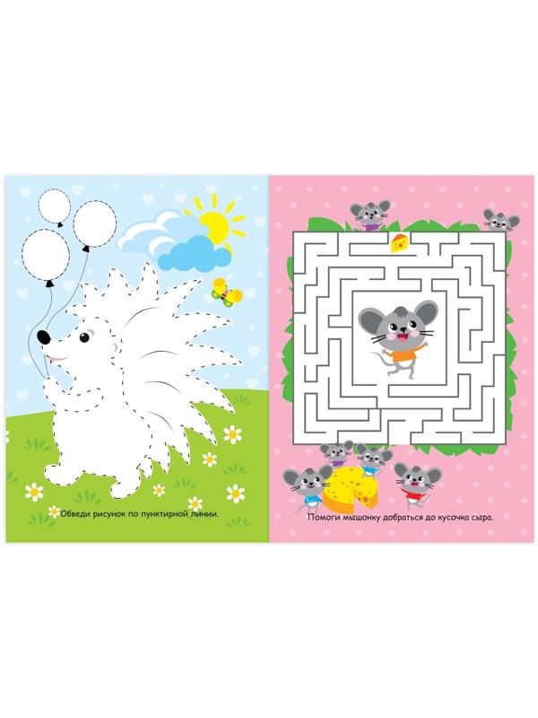 Набор книг с маркерами «Пиши-стирай. Для девочек» 2 шт. по 12 стр.