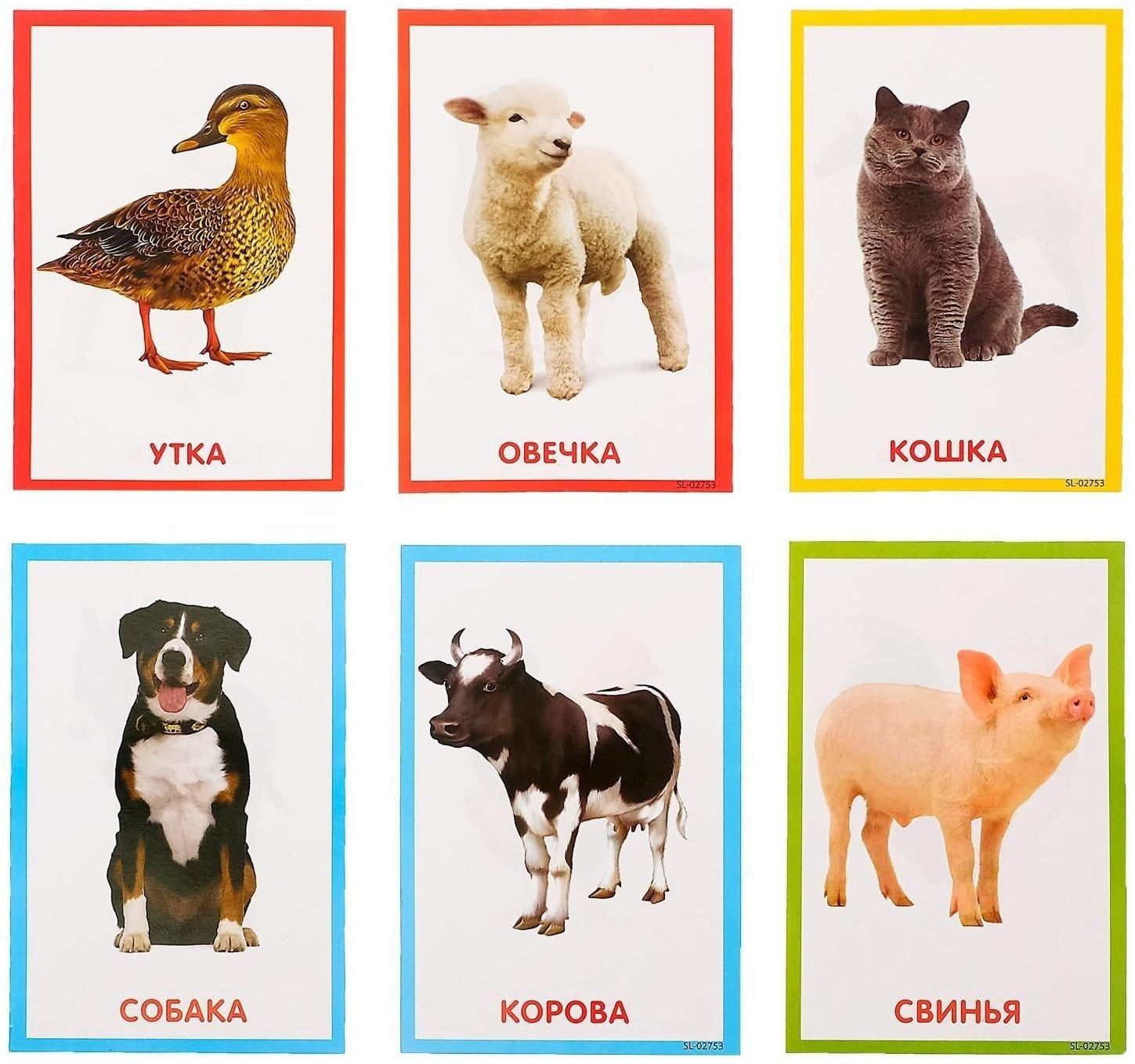 Обучающая игрушка «Умный пульт», цифры, формы, песни, звуки, цвет розовый