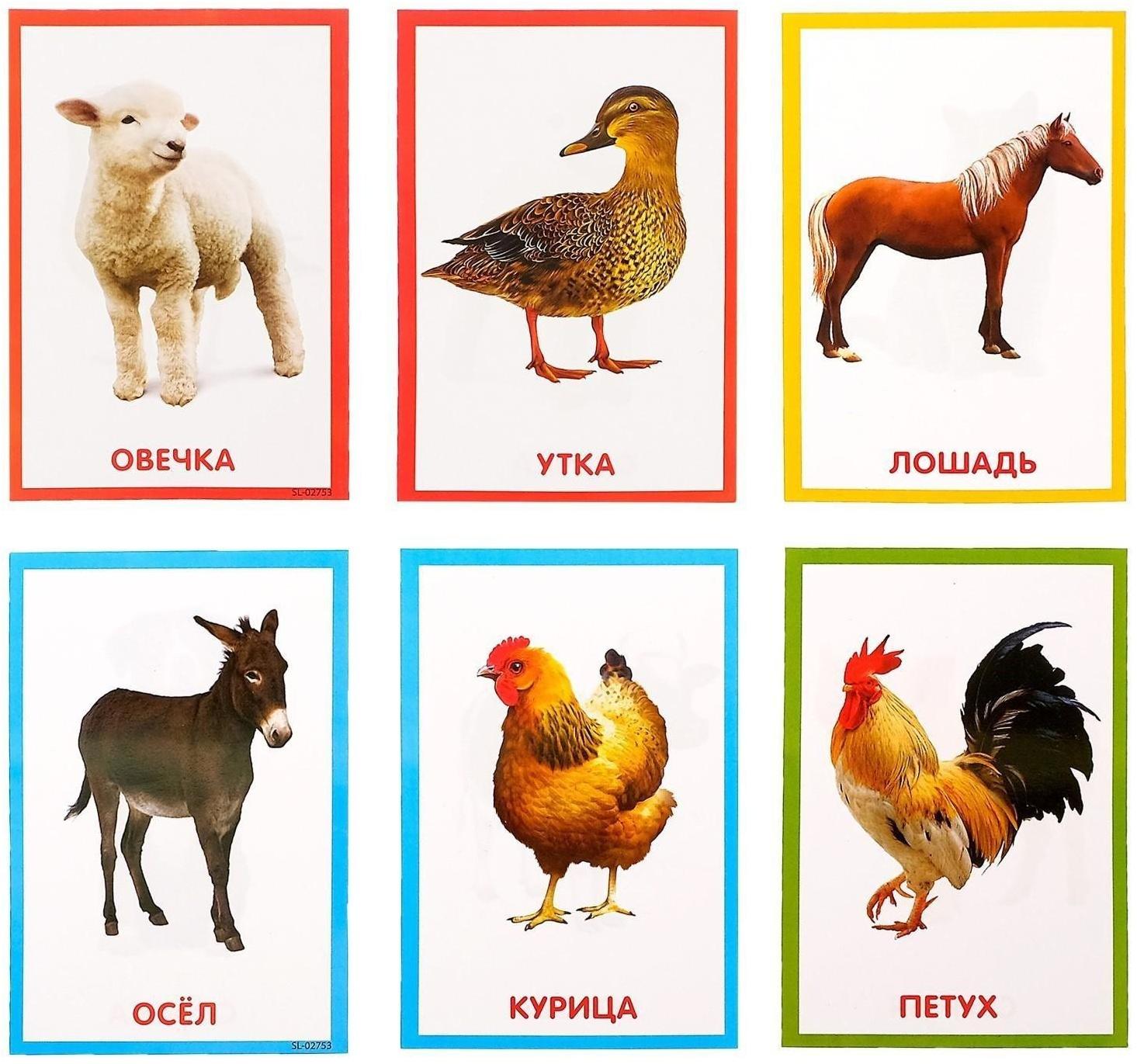 Обучающая игрушка «Умный пульт», цифры, формы, песни, звуки, цвет розовый