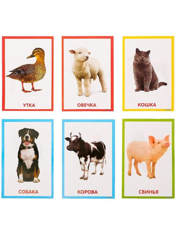 Обучающая игрушка «Умный пульт», цифры, формы, песни, звуки, цвет розовый