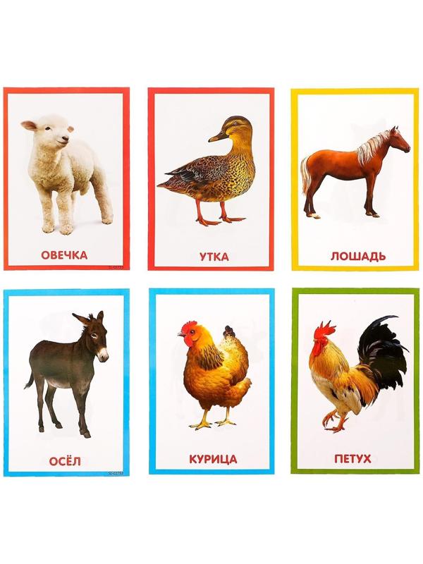 Обучающая игрушка «Умный пульт», цифры, формы, песни, звуки, цвет розовый