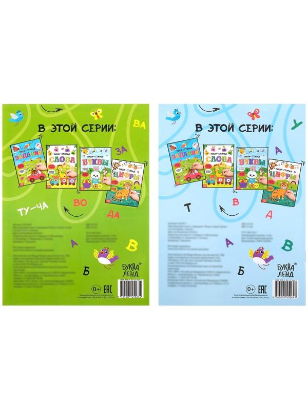 Обучающие книги с маркером «Пиши-стирай. Слова и буквы», 2 шт. по 12 стр.