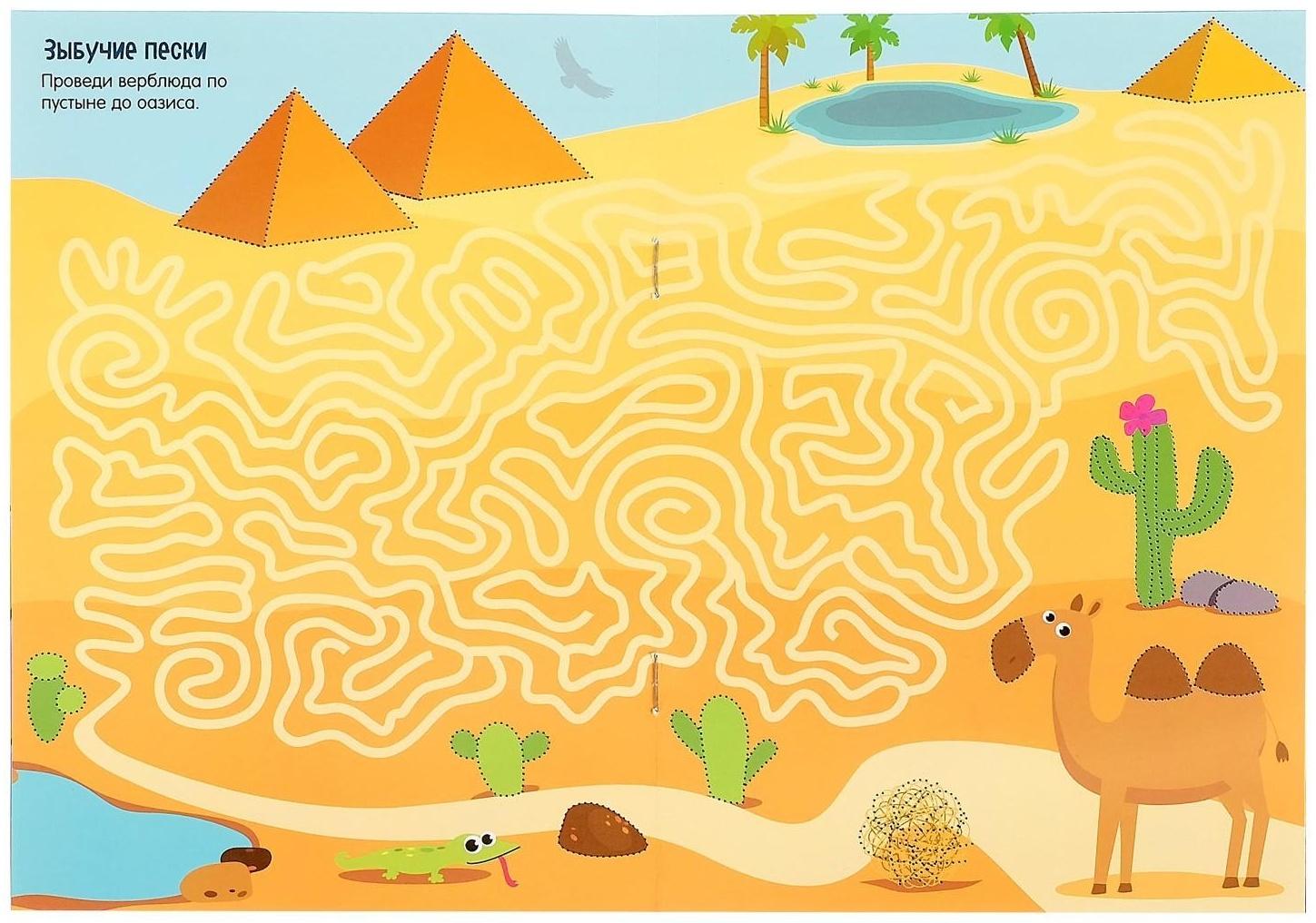 Многоразовая книжка с заданиями «Напиши и сотри. Лабиринты и путаницы», 12 стр.