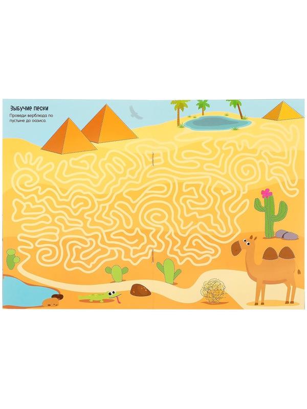 Многоразовая книжка с заданиями «Напиши и сотри. Лабиринты и путаницы», 12 стр.