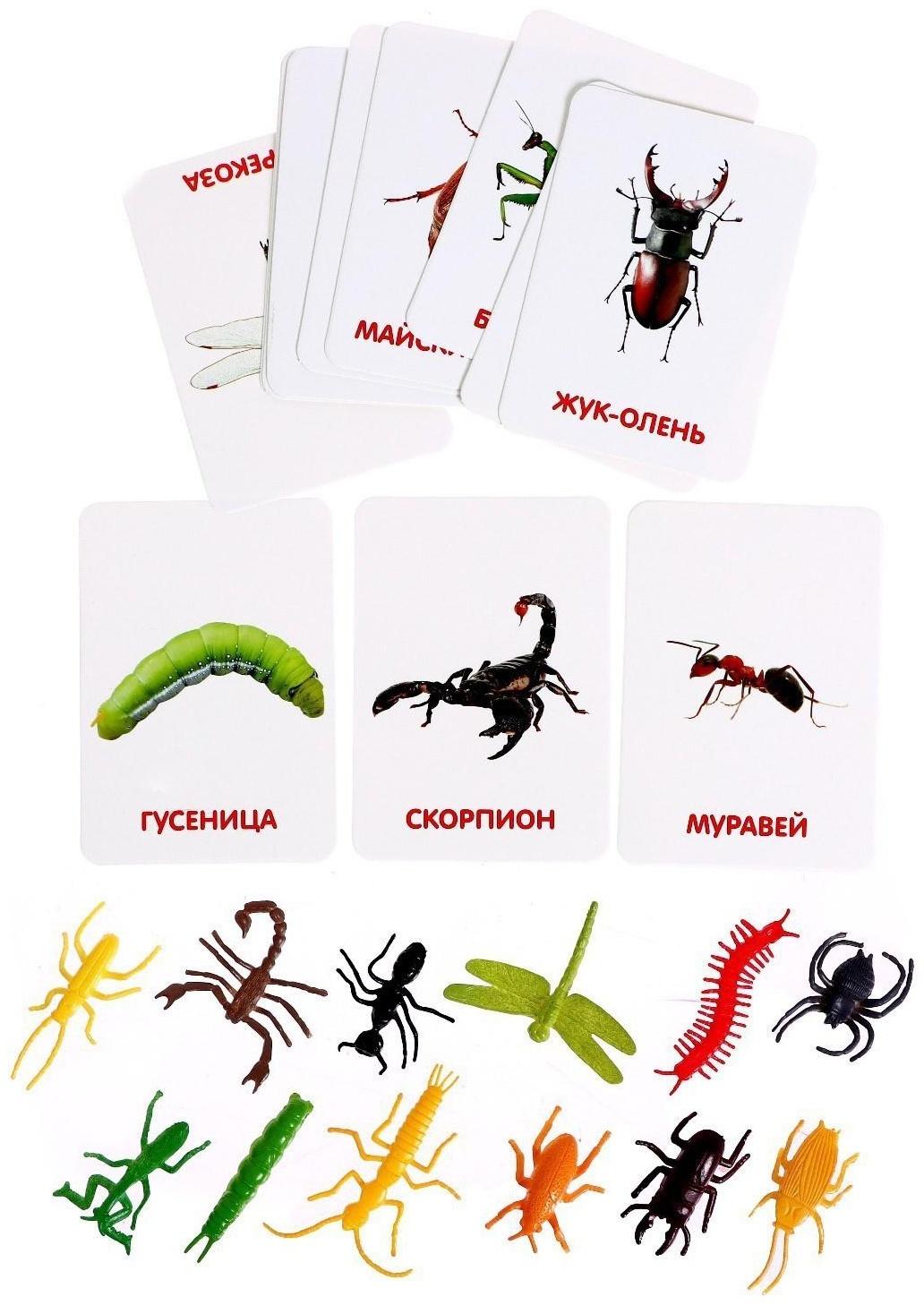 Развивающий набор с карточками «Мир насекомых», по методике Домана